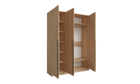 Шкаф распашной ПАКС 38